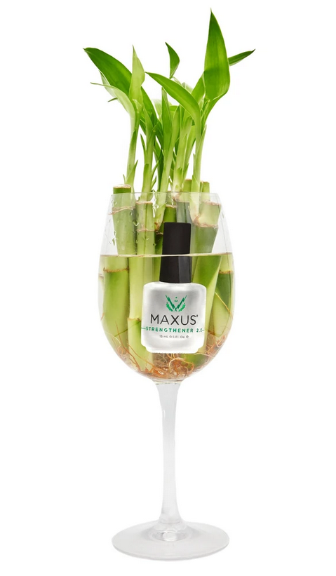 Strengthener 2.0 - Safe Effective Formulation - Image 4